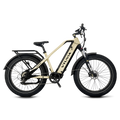 VTUVIA Gemini 1000W Ebike