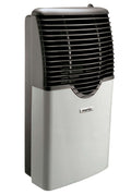 Martin 8,000 BTU Direct Vent Propane Heater MDV8P
