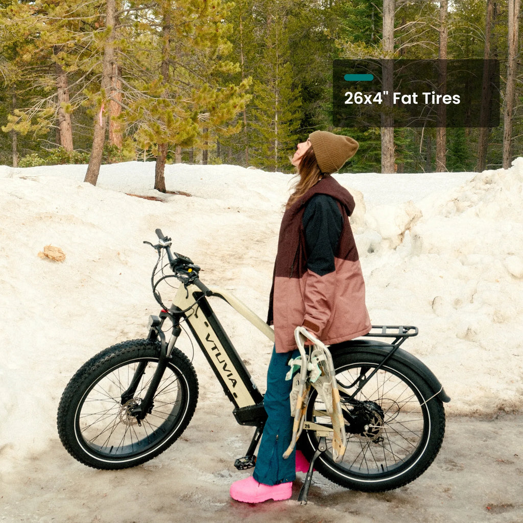 VTUVIA Gemini 1000W Ebike