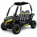 TrailMaster Cheetah i6