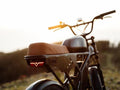 Freego Shotgun Flash F3 Pro Max Premium Electric Bike