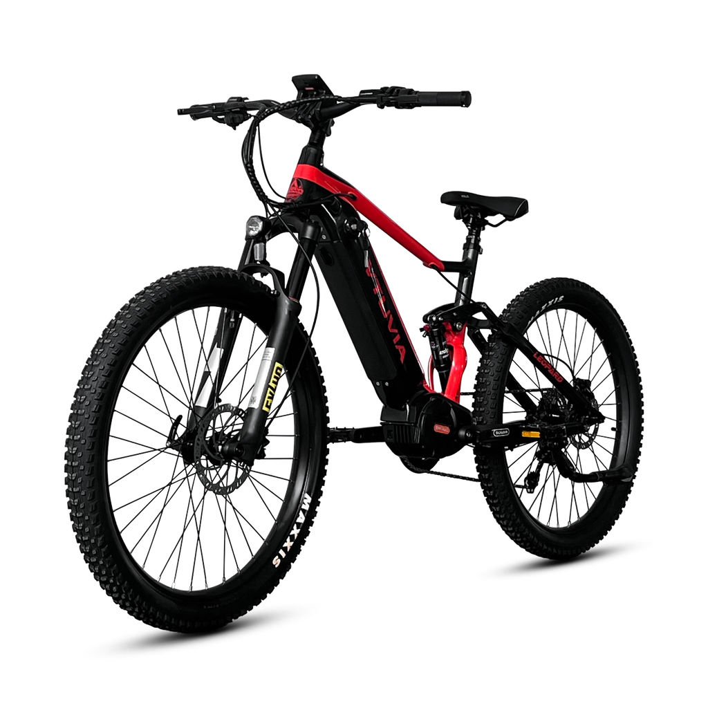 VTUVIA FMB Ebike