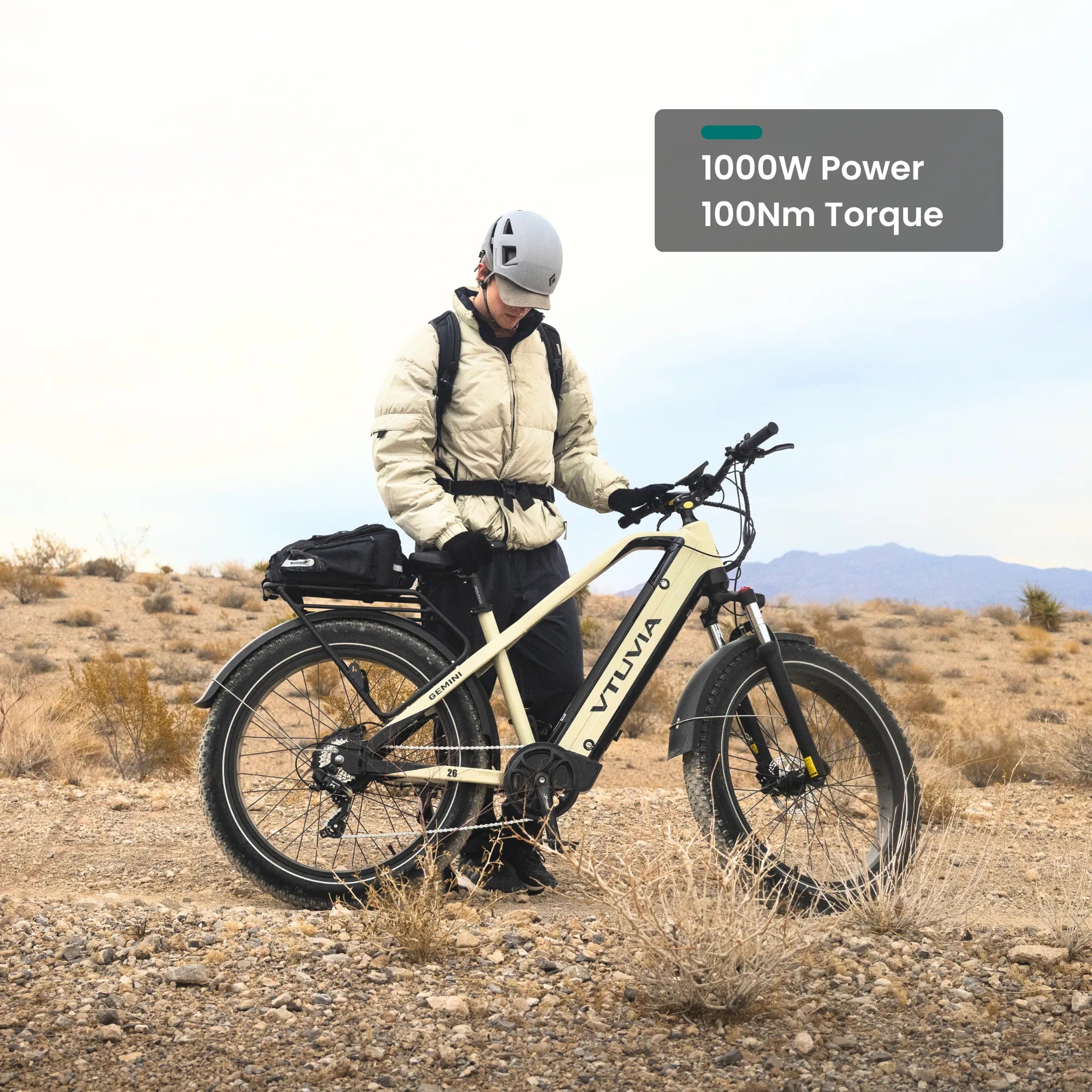 VTUVIA Gemini 1000W Ebike