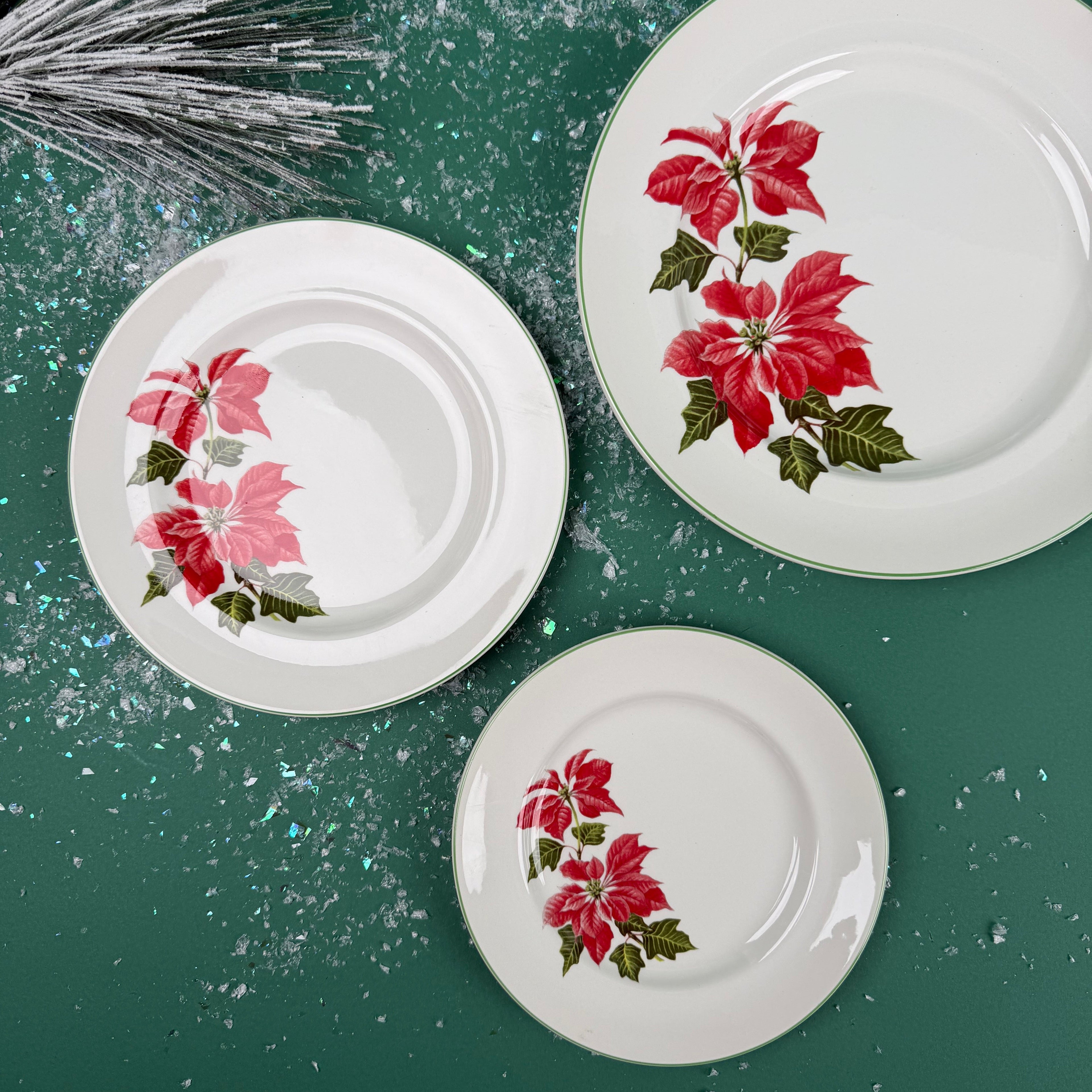 Poinsettia Pattern English Dinnerware, 36 pieces