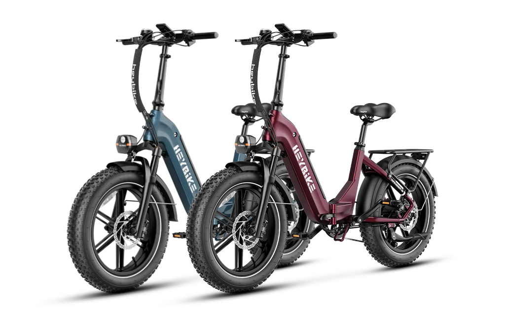 Heybike Ranger S 1000W Combo