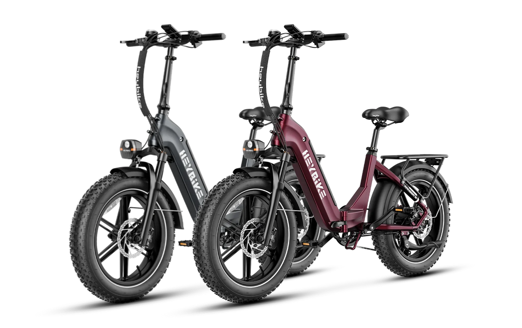 Heybike Ranger S 1000W Combo