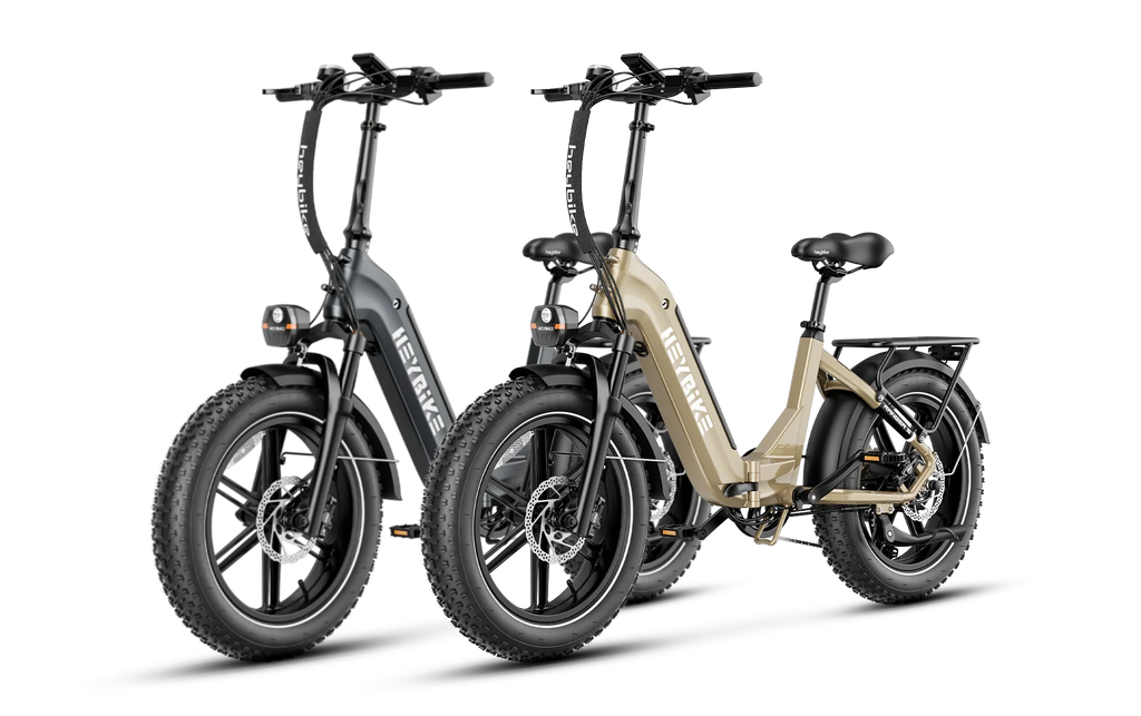Heybike Ranger S 1000W Combo