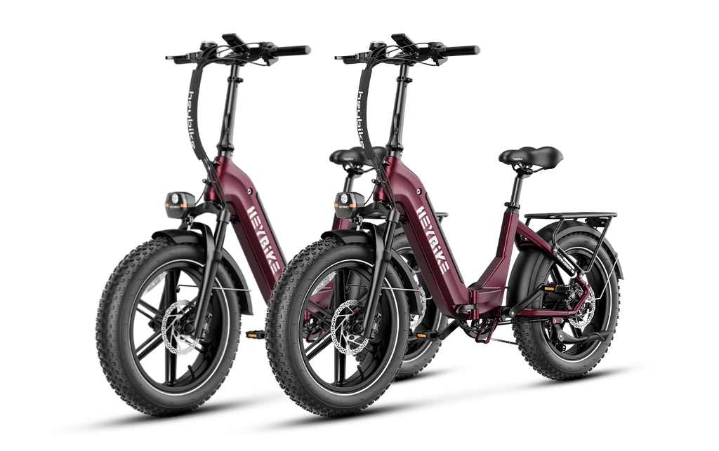 Heybike Ranger S 1000W Combo
