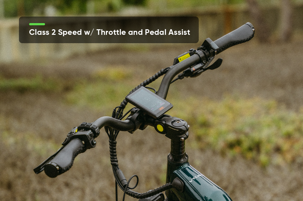 VTUVIA Reindeer 2.0 Ebike