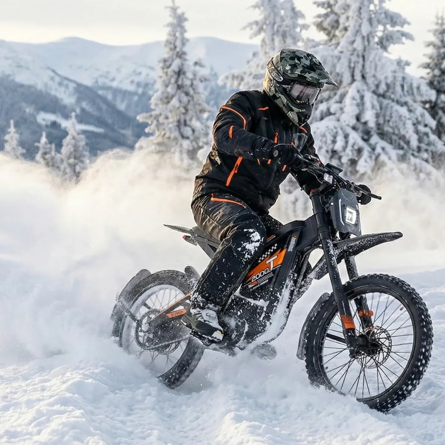 Ouxi GT2000 Ebike