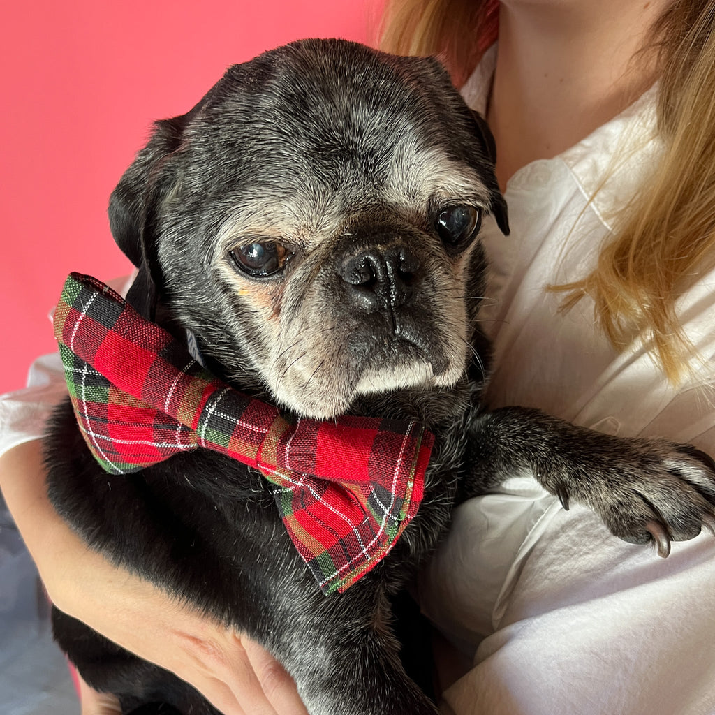 Royal Stewart Red/Green - Plaid Dog/Cat Bowties, Medium/Large
