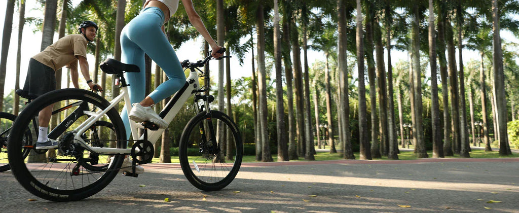 750W Electric Bike - Step-Through Frame, 36V Battery