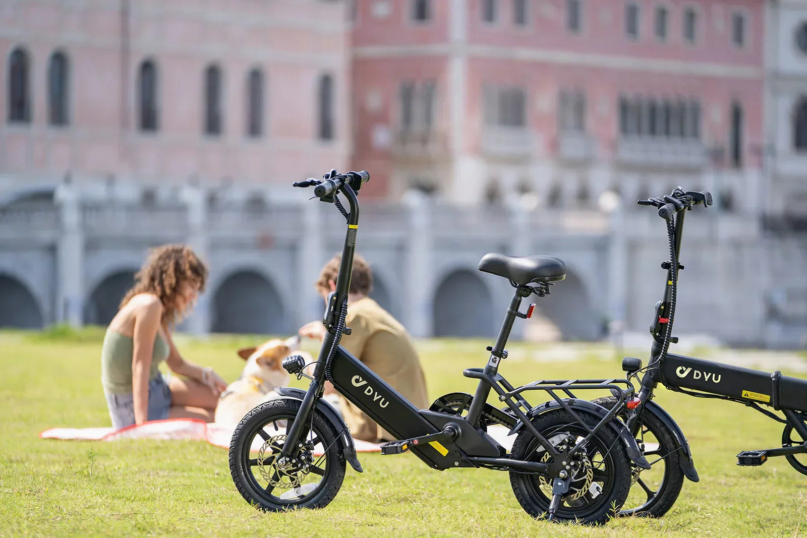 DYU-C3 Folding Electric Bike - Compact Aluminum Design