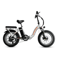 VTUVIA SF20H Folding Ebike White