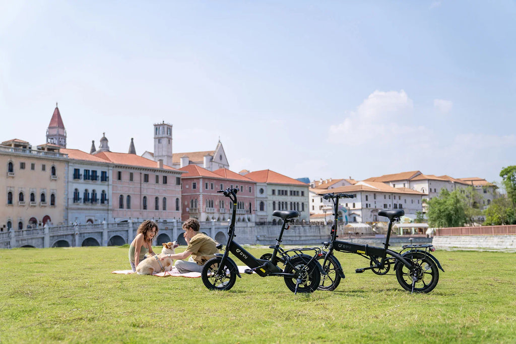 DYU-C3 Folding Electric Bike - Compact Aluminum Design