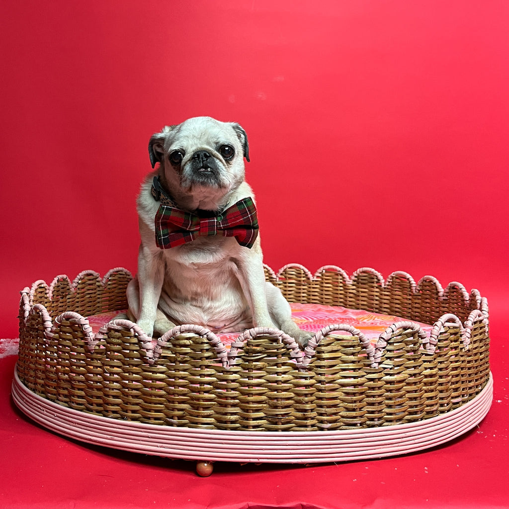 Scalloped Rattan Dog Bed - Pink