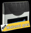 Martin 20,000 BTU Direct Vent Natural Gas Heater MDV20VN