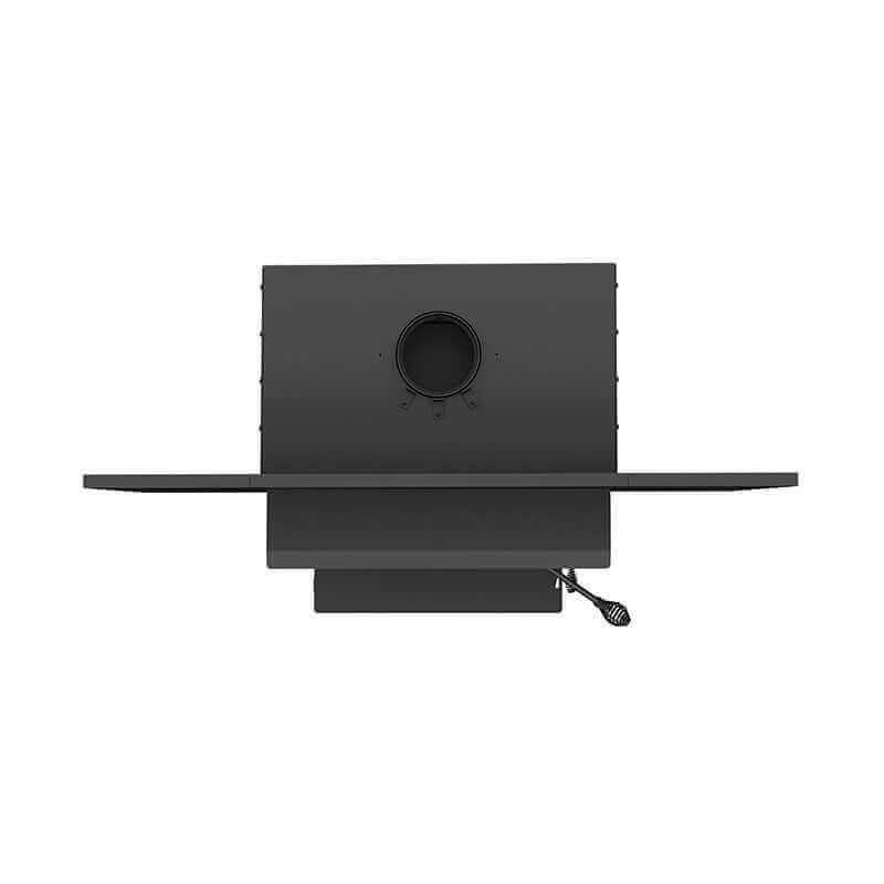 Century CW2900 + Faceplate Wood Stove