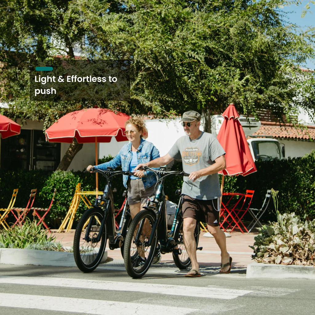 CMB 10-Speed Ebike