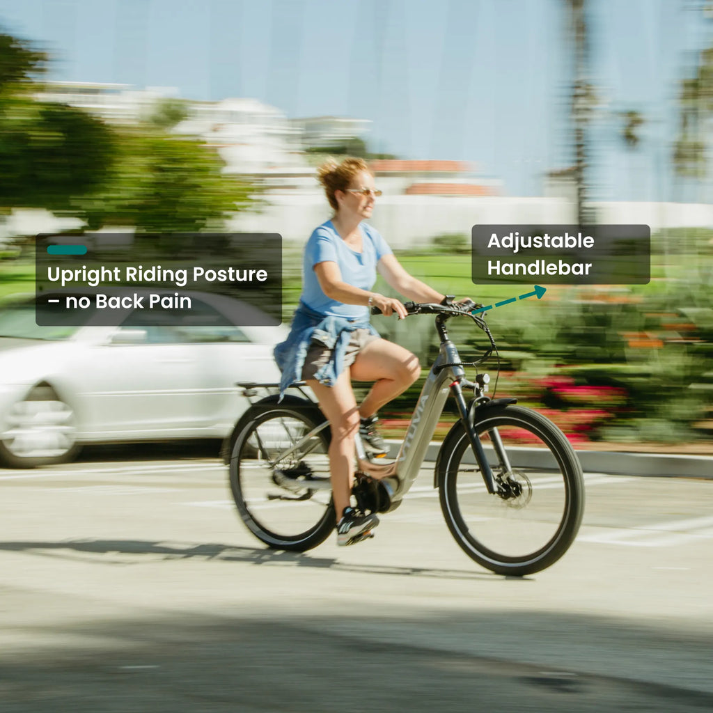 CMB 10-Speed Ebike