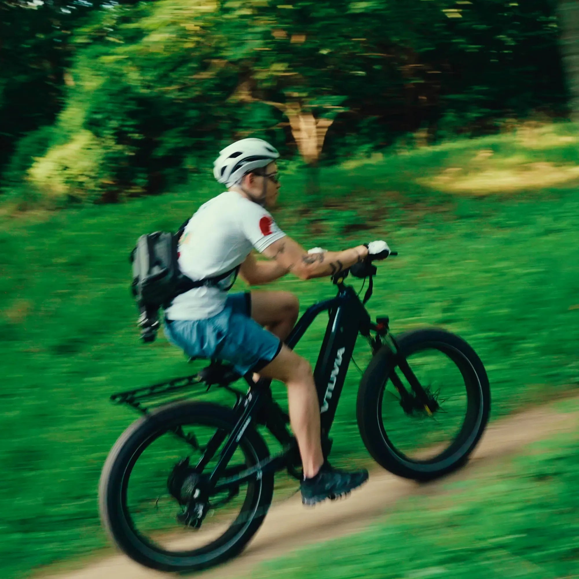 VTUVIA Gemini 1000W Ebike