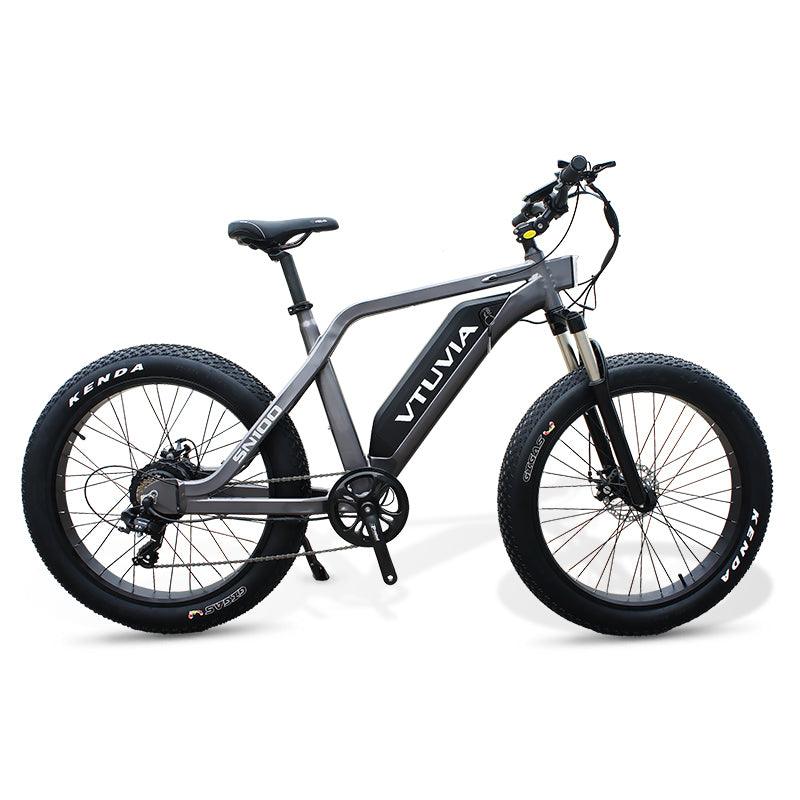 VTUVIA SN100/SJ26 Battery
