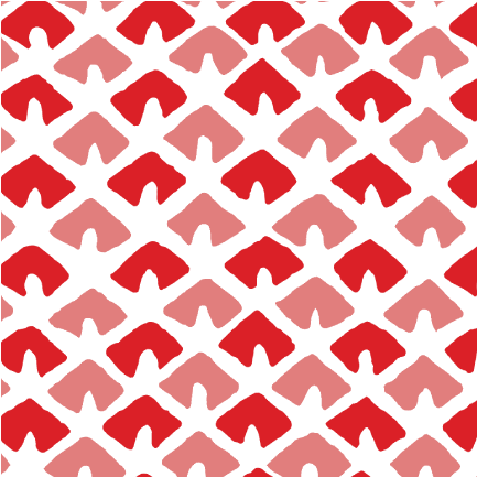 Old Jaipur Fabric - Geranium Red