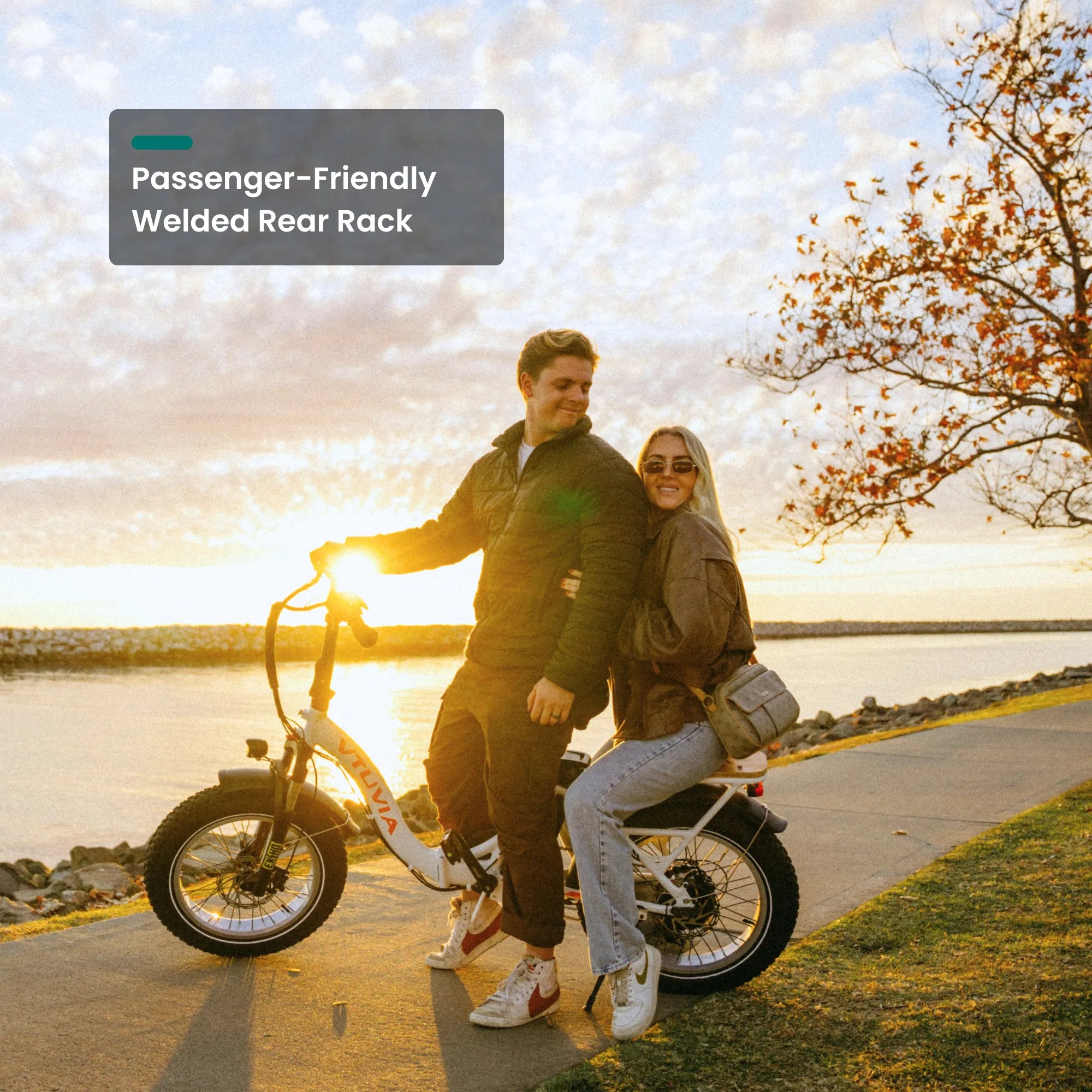 VTUVIA SF20H Folding Ebike White