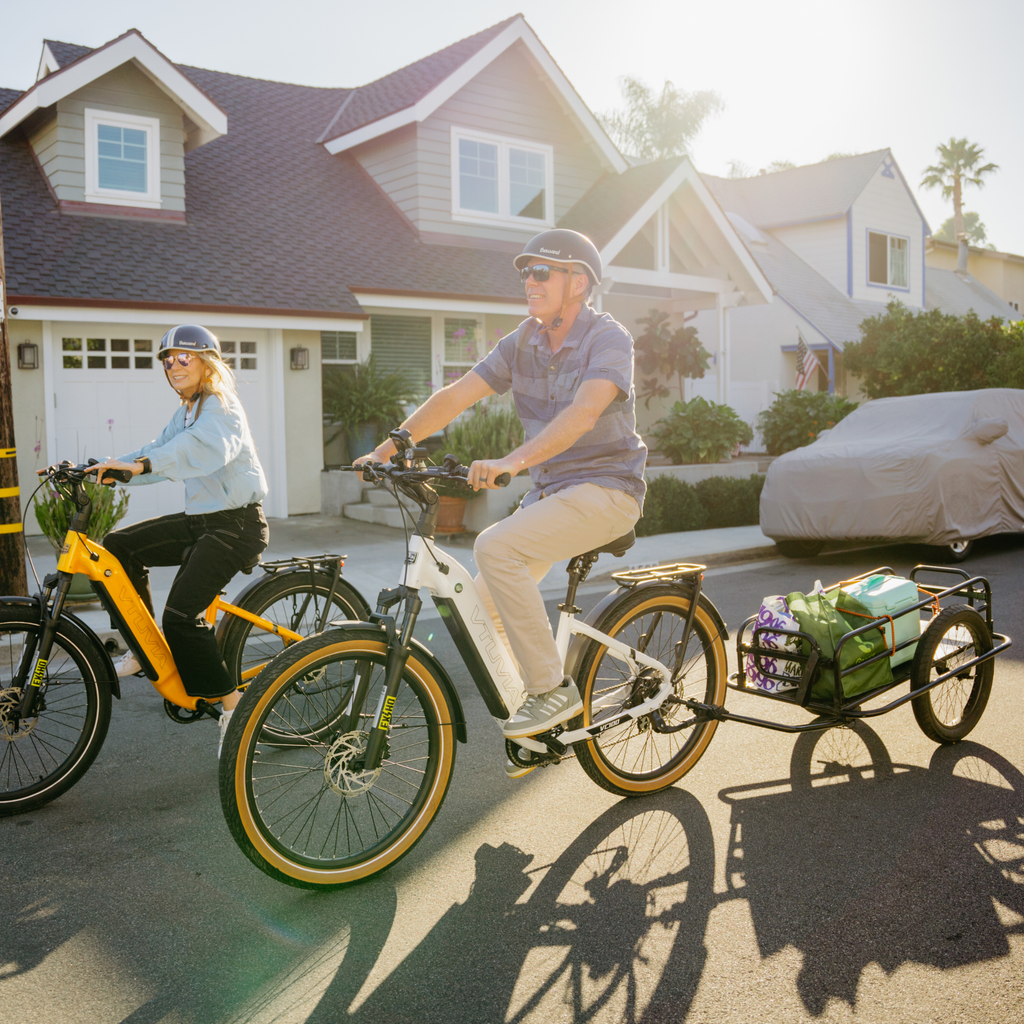 VTUVIA Bike Cargo Trailer